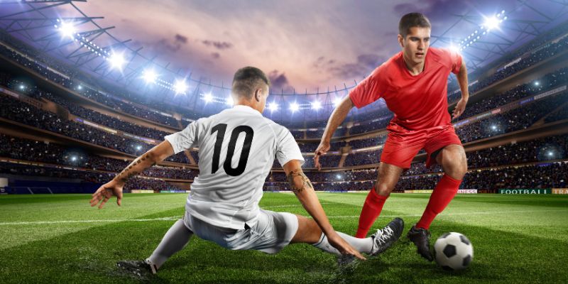 Những sai lầm mắc phải khi cá cược