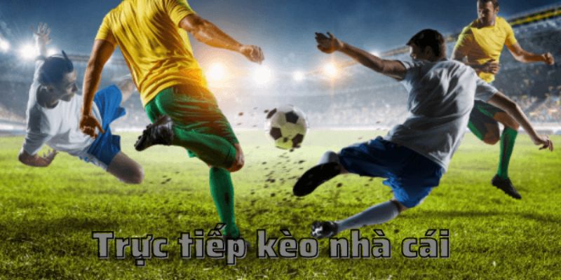 Hiểu rõ nhà cái và luật chơi