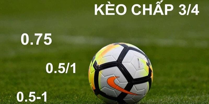 Các thể loại kèo 3/4