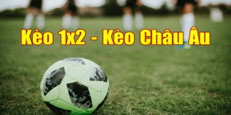 Cách đặt cược kèo hiệu quả