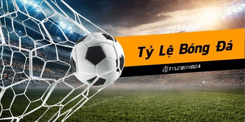 Soi kèo trực tuyến bóng đá